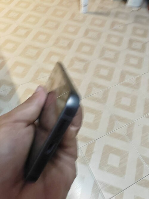 403019_0.jpg