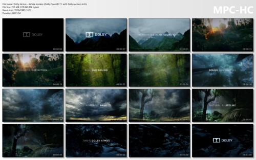 Dolby-Atmos---Amaze-lossless-Dolby-TrueHD-7.1-with-Dolby-Atmos.m2ts_thumbs.jpg